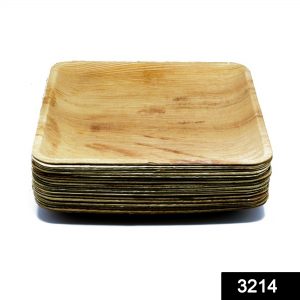 Disposable Square Eco-friendly Areca Palm Leaf Plate (10x10 inch) (pack of 25)