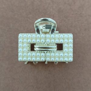 Style Claw Clip Hair Claw