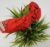 1 pc Red Knotted Floral Print Cross Knot Hair Bands | Red Headbands for Women, Girls (Red)- Pack of 1 pc