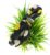 Black Big Polka Dot Knotted Bow Hairband Headband for Women and Girls (Pack of 1 pc)