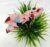 Rose Pink Big Polka Dot Knotted Bow Hairband Headband for Women and Girls (Pack of 1 pc)