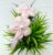 Checked 2 Flowers Baby Pink Floral Hairband Headband for Women and Girls (Pack of 1 pc)