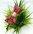 Coral Double Layered Bow Hairband Headband for Women and Girls (Pack of 1 pc)