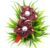 Maroon 2 Flowers Floral Dot Hairband Headband for Women and Girls (Pack of 1 pc)