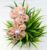 Nude Skin 2 Flowers Floral Dot Hairband Headband for Women and Girls (Pack of 1 pc)