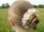 Off White Handmade Crochet Scrunchie hair tie for women and girls (Pack of 1)