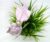 Baby Pink Pearls Bow Hairband Beaded Headbands Accessories for Women and Girls Headband (Pack of 1 pc)