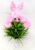 Pom Pom Rabbit Ear & Eye Hairband Headband for Women and Girls (Pack of 1 pc)
