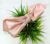 Rose Pink Satin Knotted Bow Hairband Headband for Women and Girls (Pack of 1 pc)