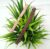 Thin Plastic Hairband Headband for Women and Girls (Pack of 2 pcs)
