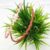 Wavy Headbands Zigzag Headbands with Teeth Skinny Headbands for Girls and Women (Baby Pink+Peach) (Pack of 2 pcs)