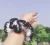 White and Black Handmade Knitted and Crochet Scrunchie hair tie for women and girls (Pack of 1)